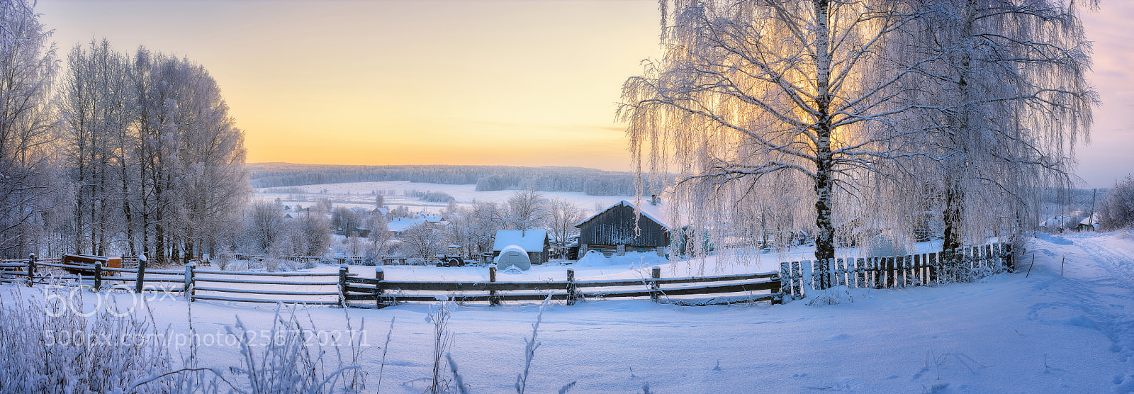 Nikon D610 sample photo. 915. winter in the photography