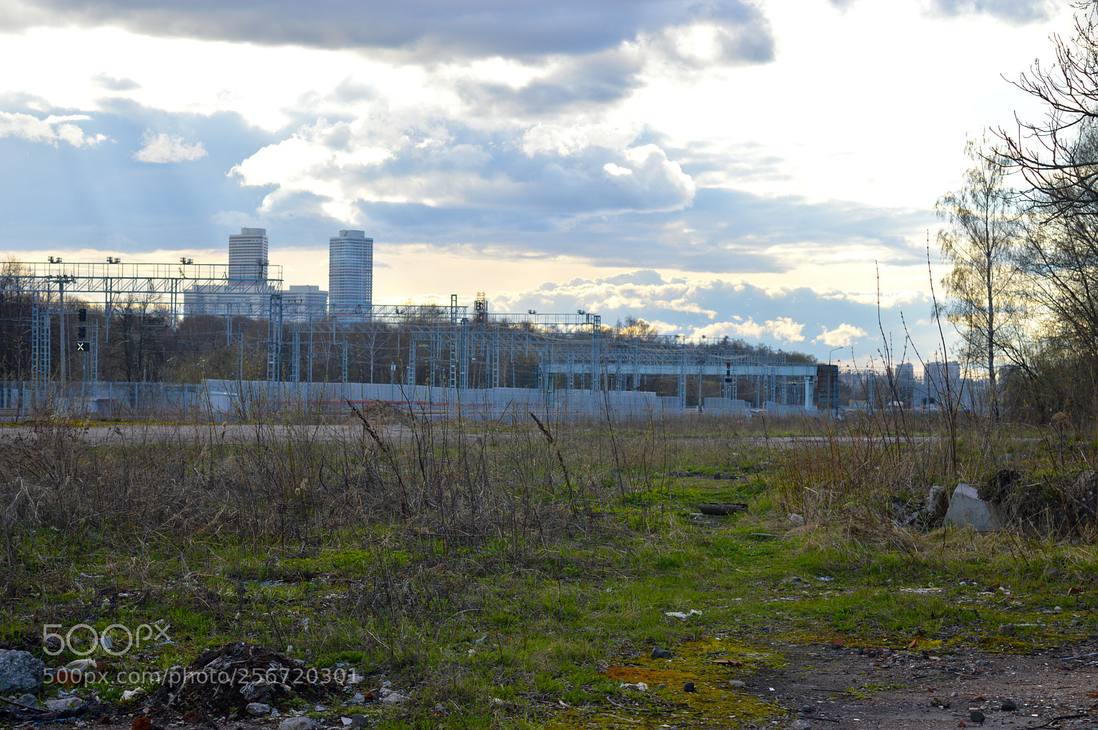 Nikon D3200 sample photo. Untitled photography