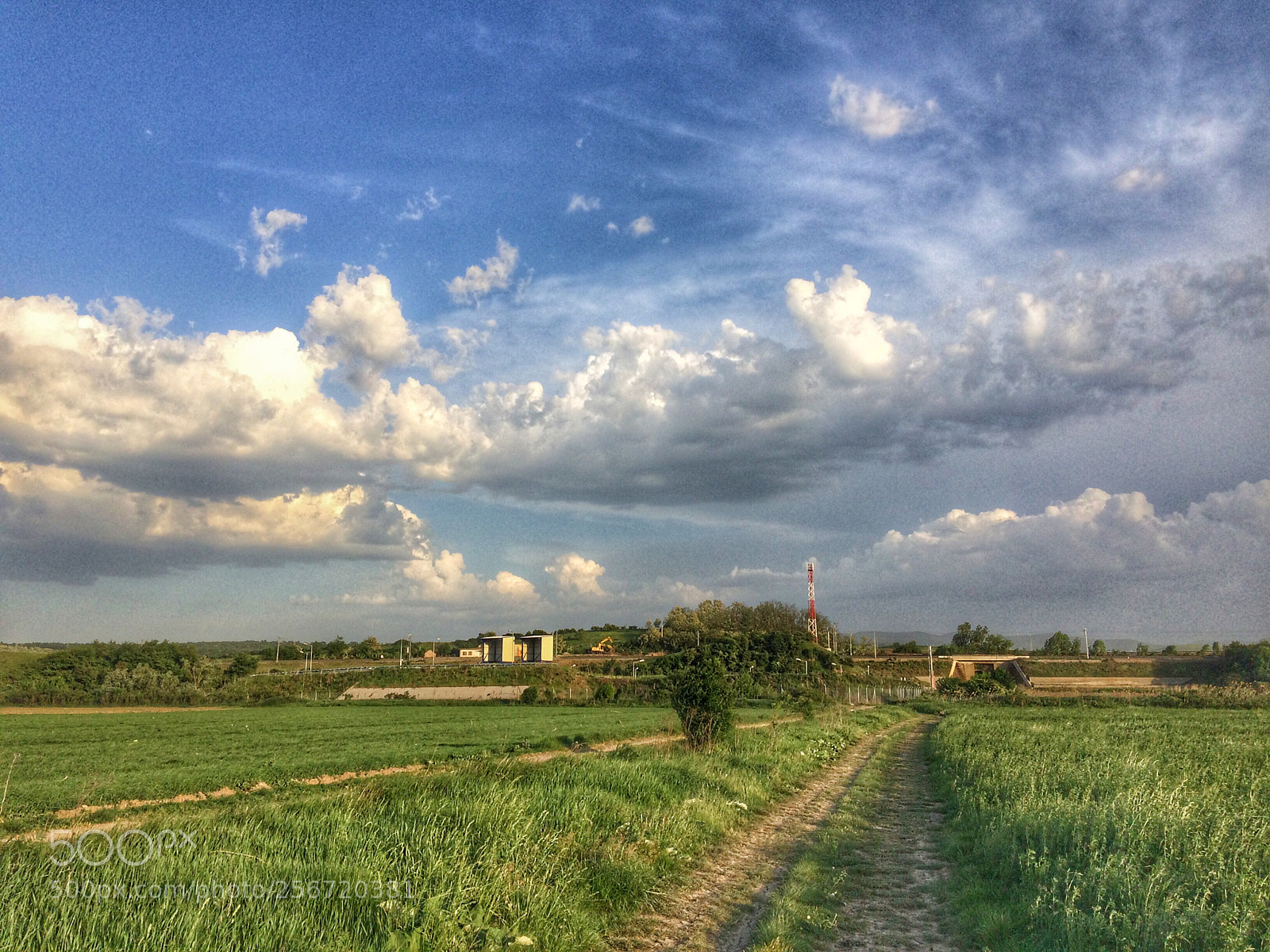 Apple iPhone 5s sample photo. Untitled photography