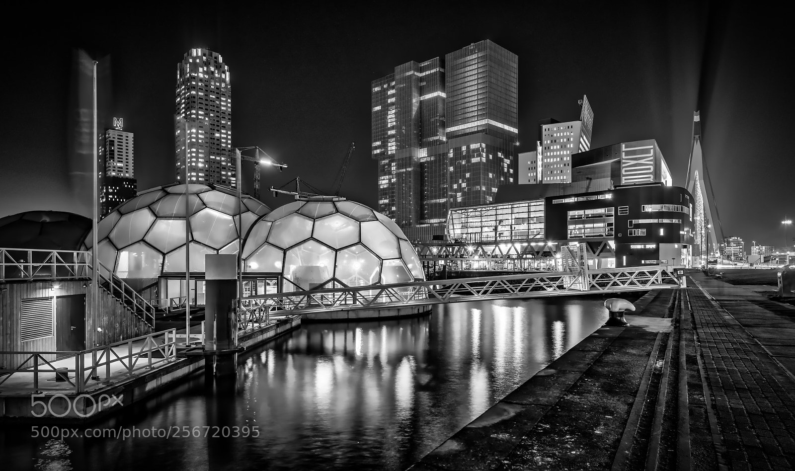 Nikon D810 sample photo. Rotterdam in black white photography