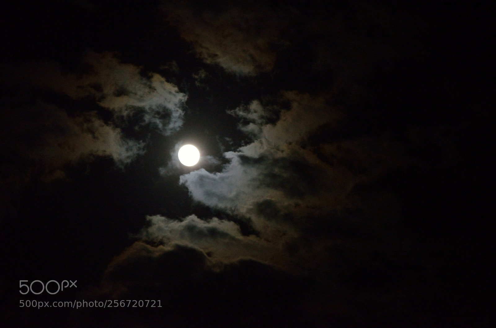 Nikon D5100 sample photo. Nightmare photography