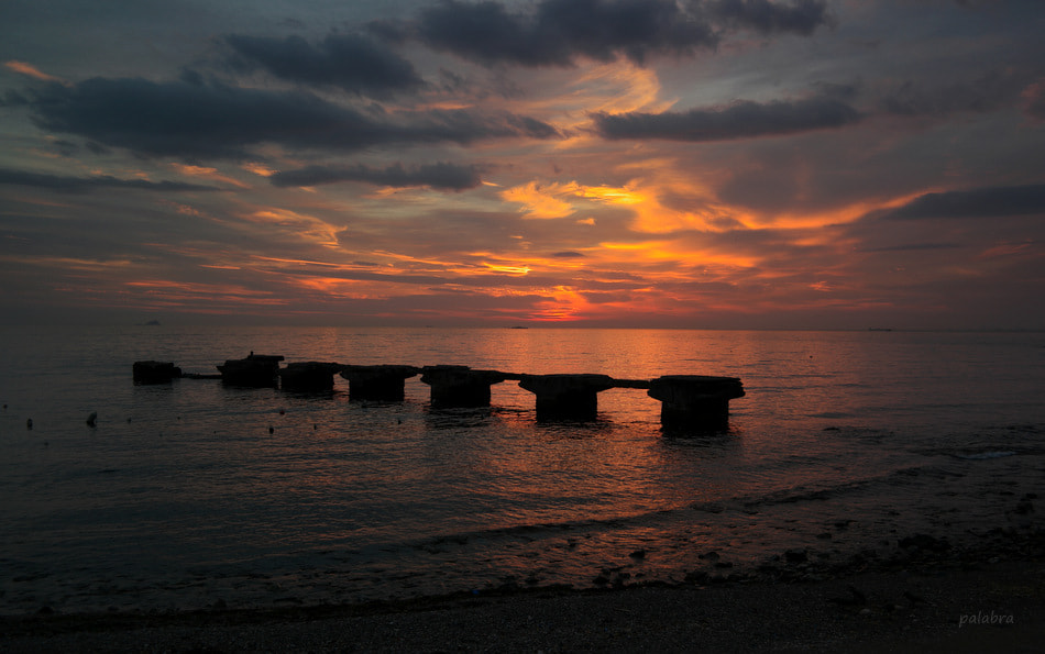 Samsung NX1 sample photo. ... photography