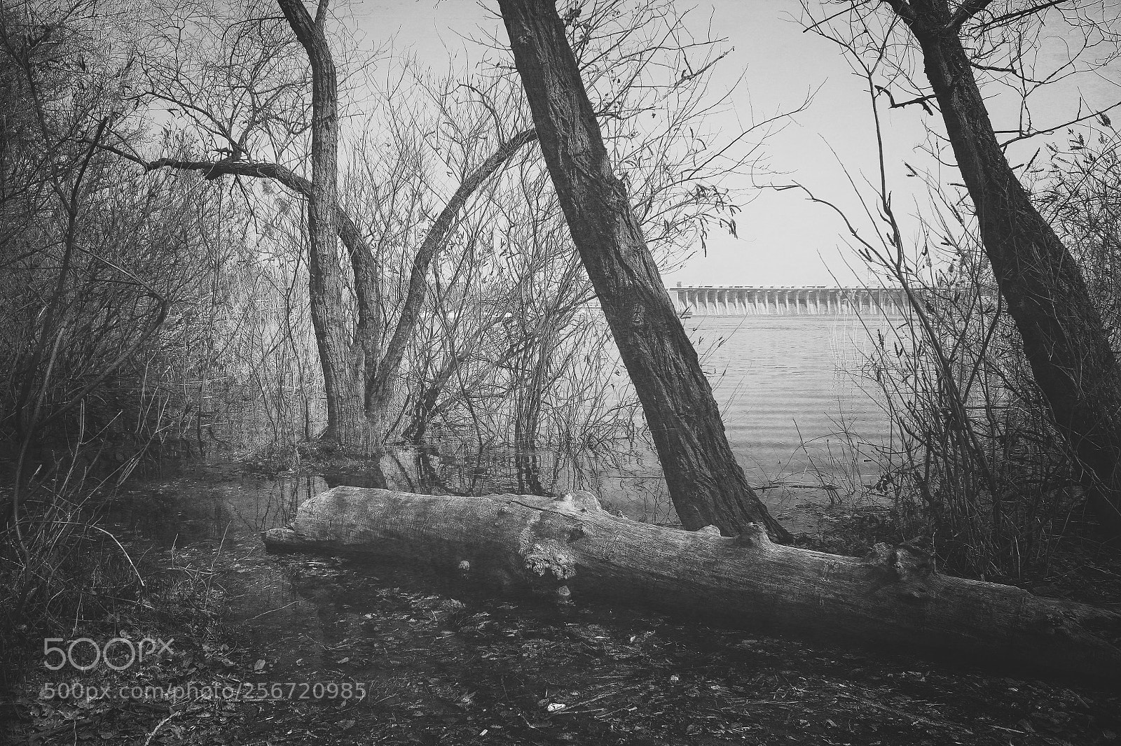 Canon EOS 60D sample photo. Dark riverside photography