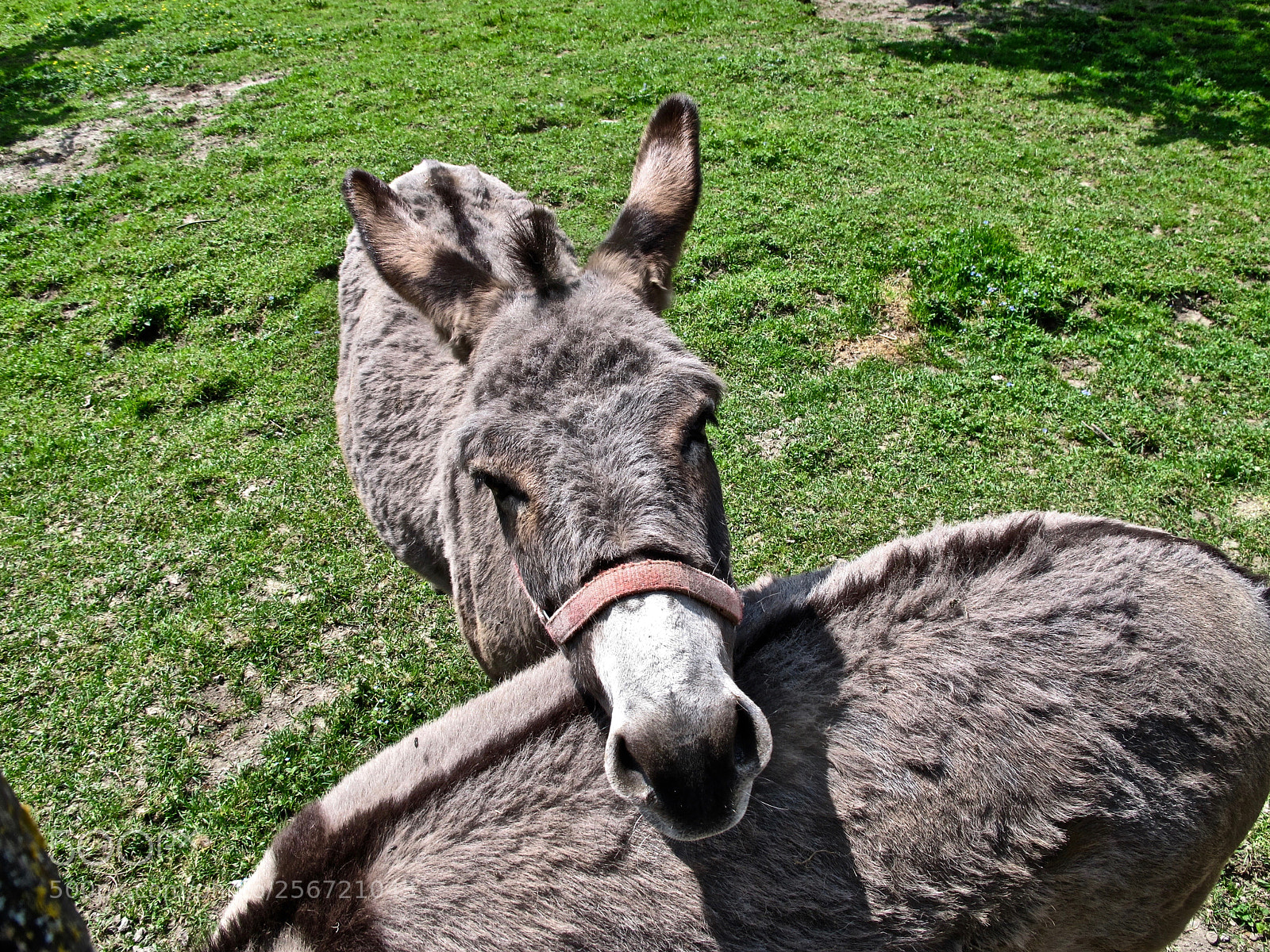 Canon PowerShot G12 sample photo. . photography