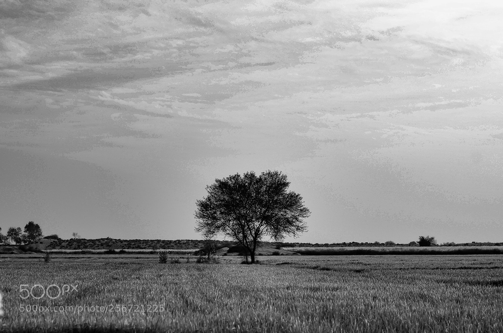 Nikon D7000 sample photo. B&w photography