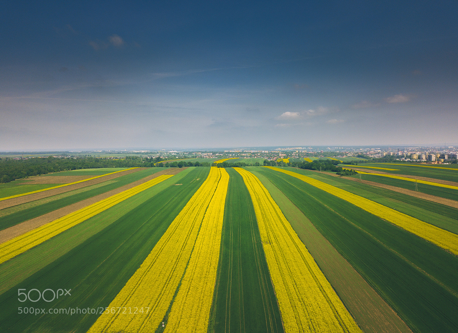 DJI FC220 sample photo. Yellow & green highway photography