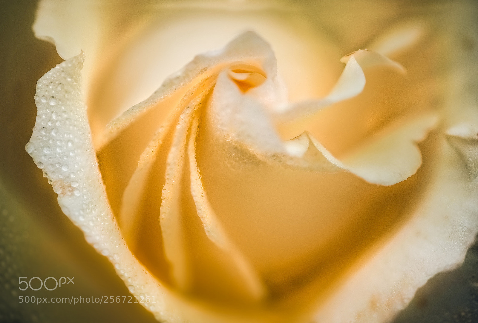 Nikon D7000 sample photo. Swirl photography