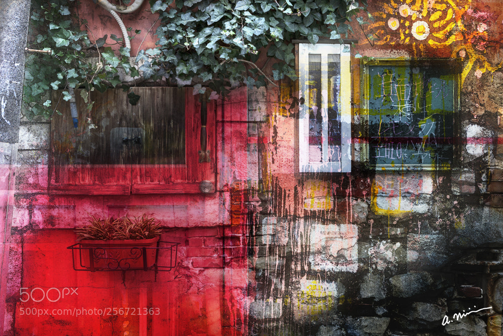 Canon EOS 5D Mark II sample photo. Wall photography