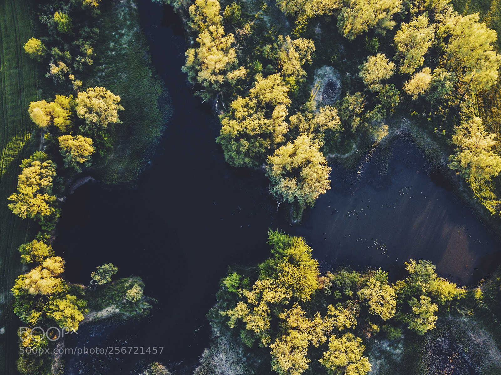 DJI FC220 sample photo. Untitled photography