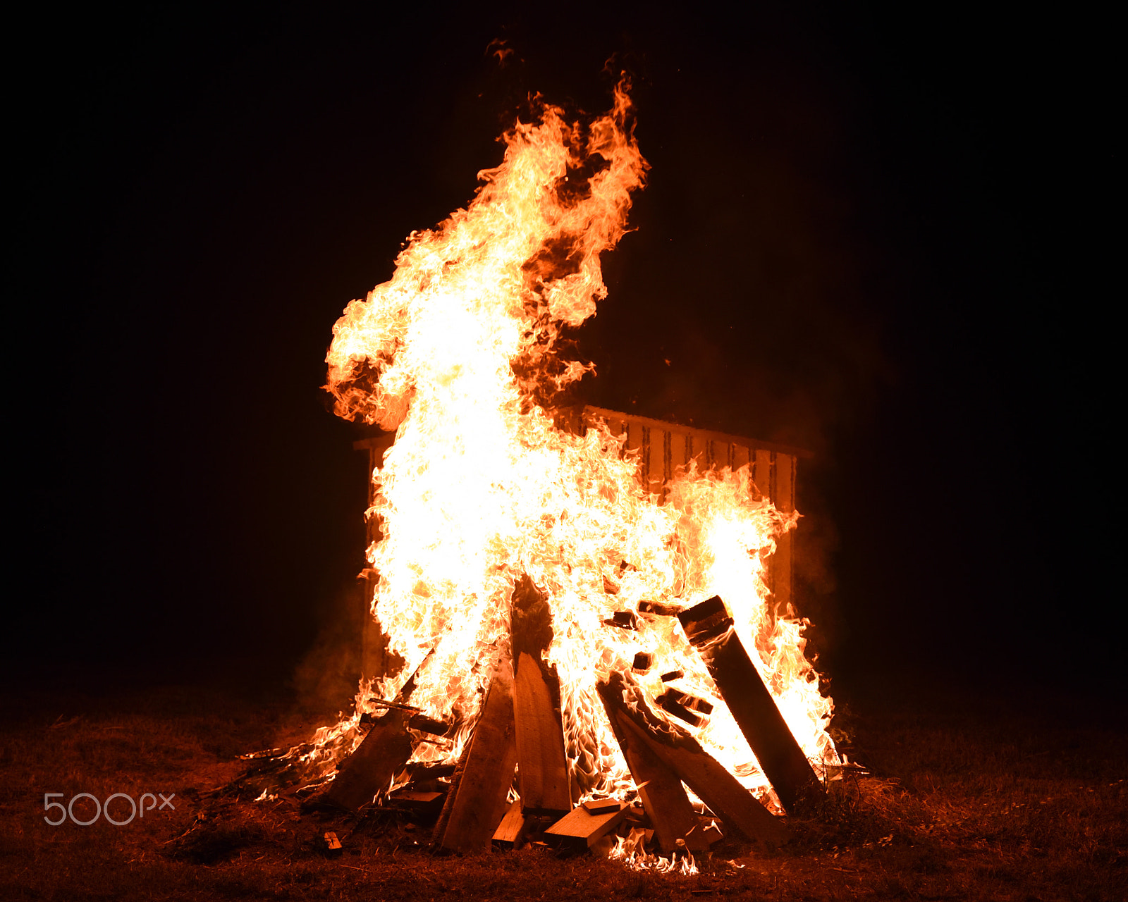 Tamron SP 24-70mm F2.8 Di VC USD sample photo. Fire rabbit photography