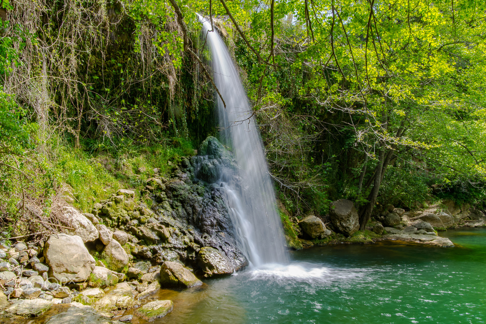 Nikon D610 sample photo. Gorg santa martarida photography