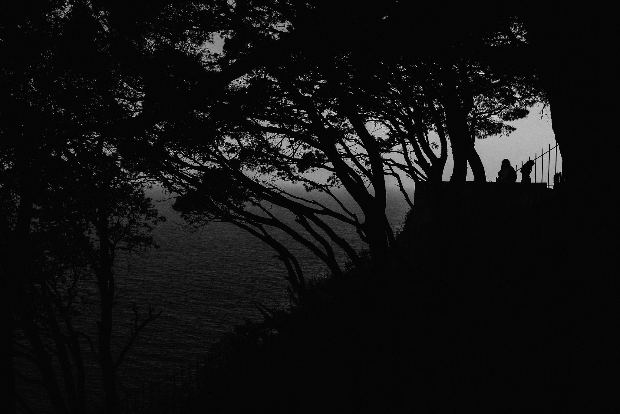Fujifilm X-E2S sample photo. Until the end of the world photography