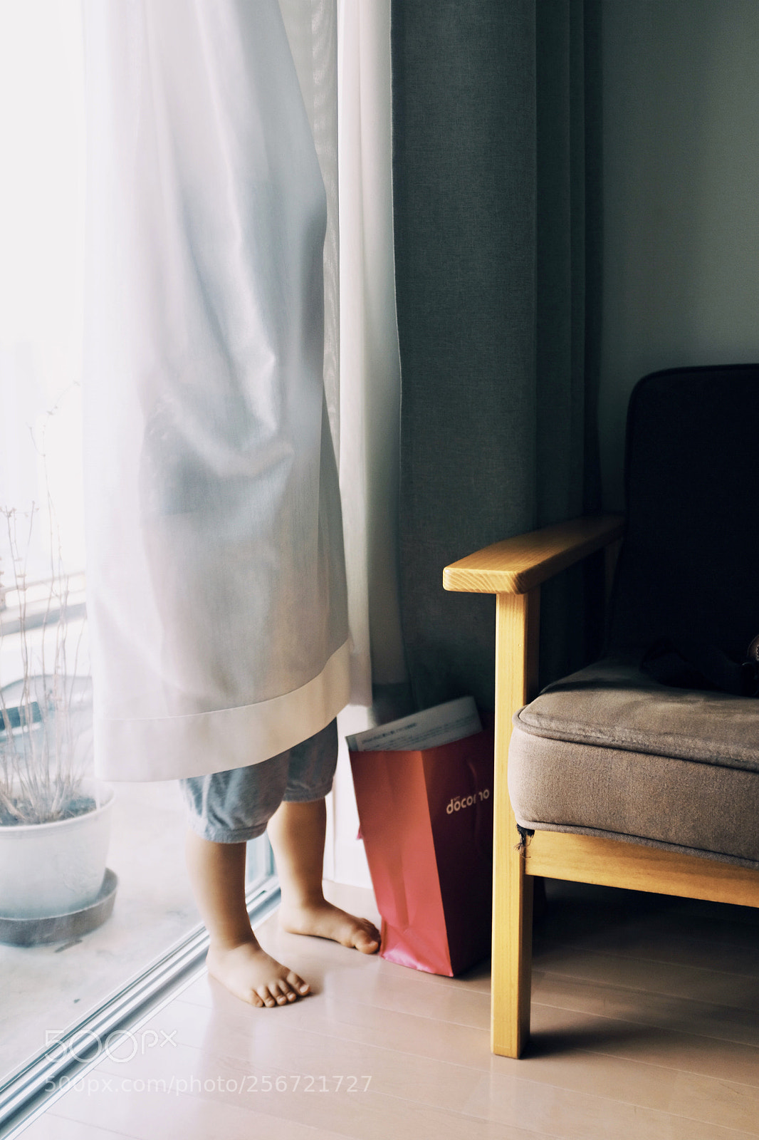 Fujifilm X100F sample photo. Hide and seek ..
もーいーよー photography