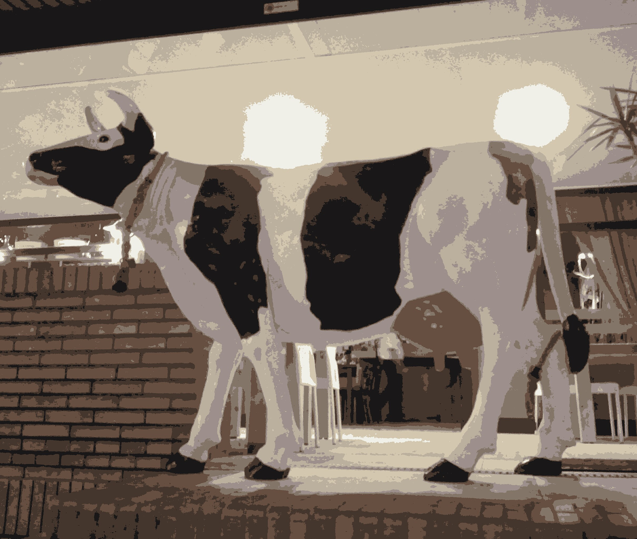 WIKO LENNY3 sample photo. The cow photography