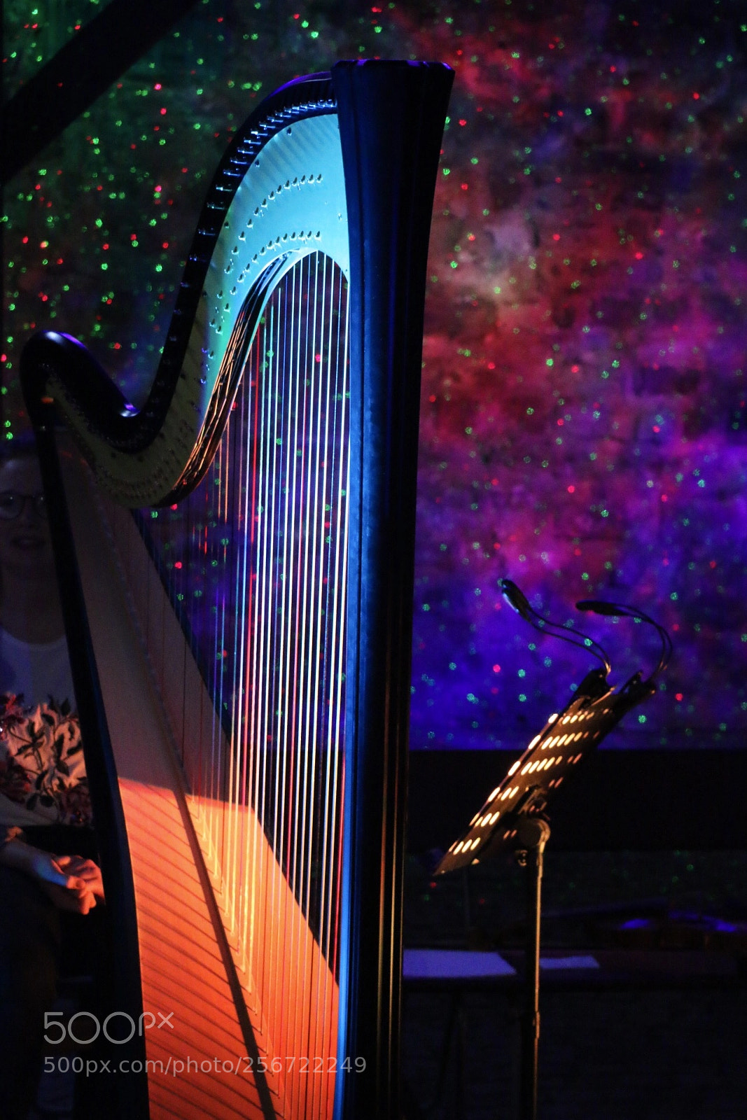 Canon EOS 70D sample photo. Hearing colorful harp  photography