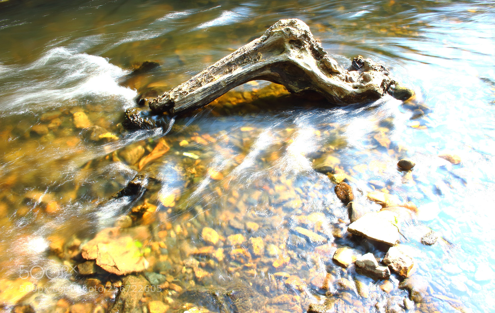 Canon EOS 100D (EOS Rebel SL1 / EOS Kiss X7) sample photo. "along the river" | 2018 photography