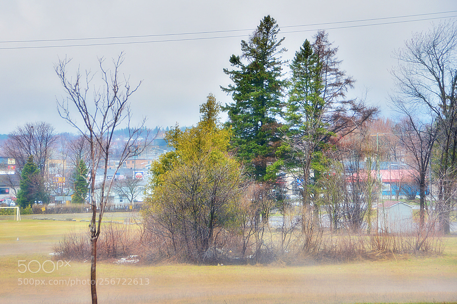 Nikon D7100 sample photo. La brume photography