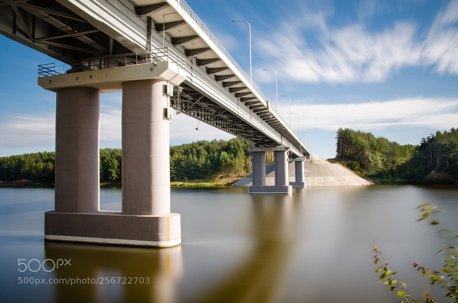 Nikon D5100 sample photo. Bridge photography