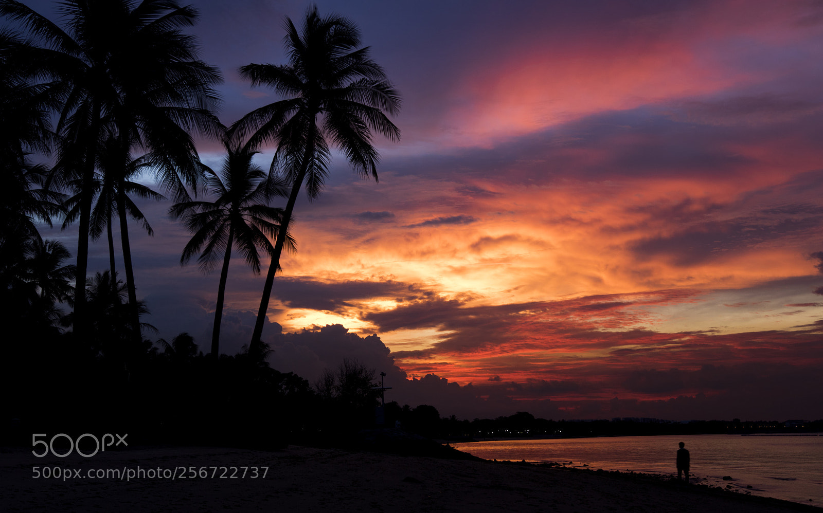 Canon EOS 760D (EOS Rebel T6s / EOS 8000D) sample photo. Eye-catching sunset photography