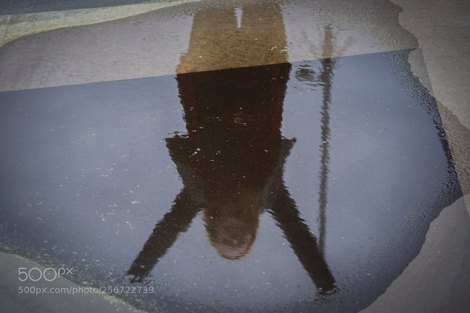 Sony Cyber-shot DSC-RX10 sample photo. Water mirror photography
