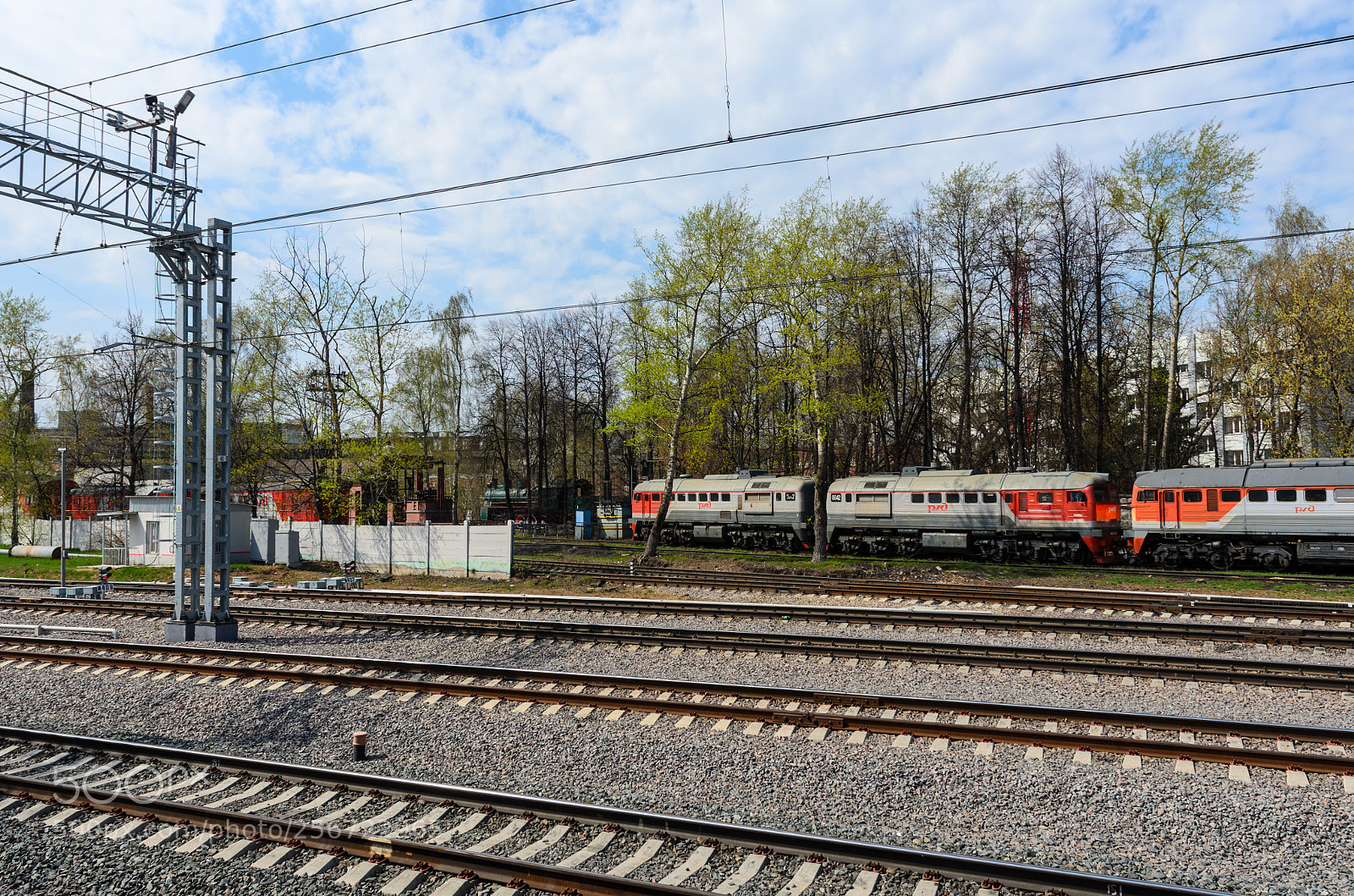 Nikon D5100 sample photo. 366 photography