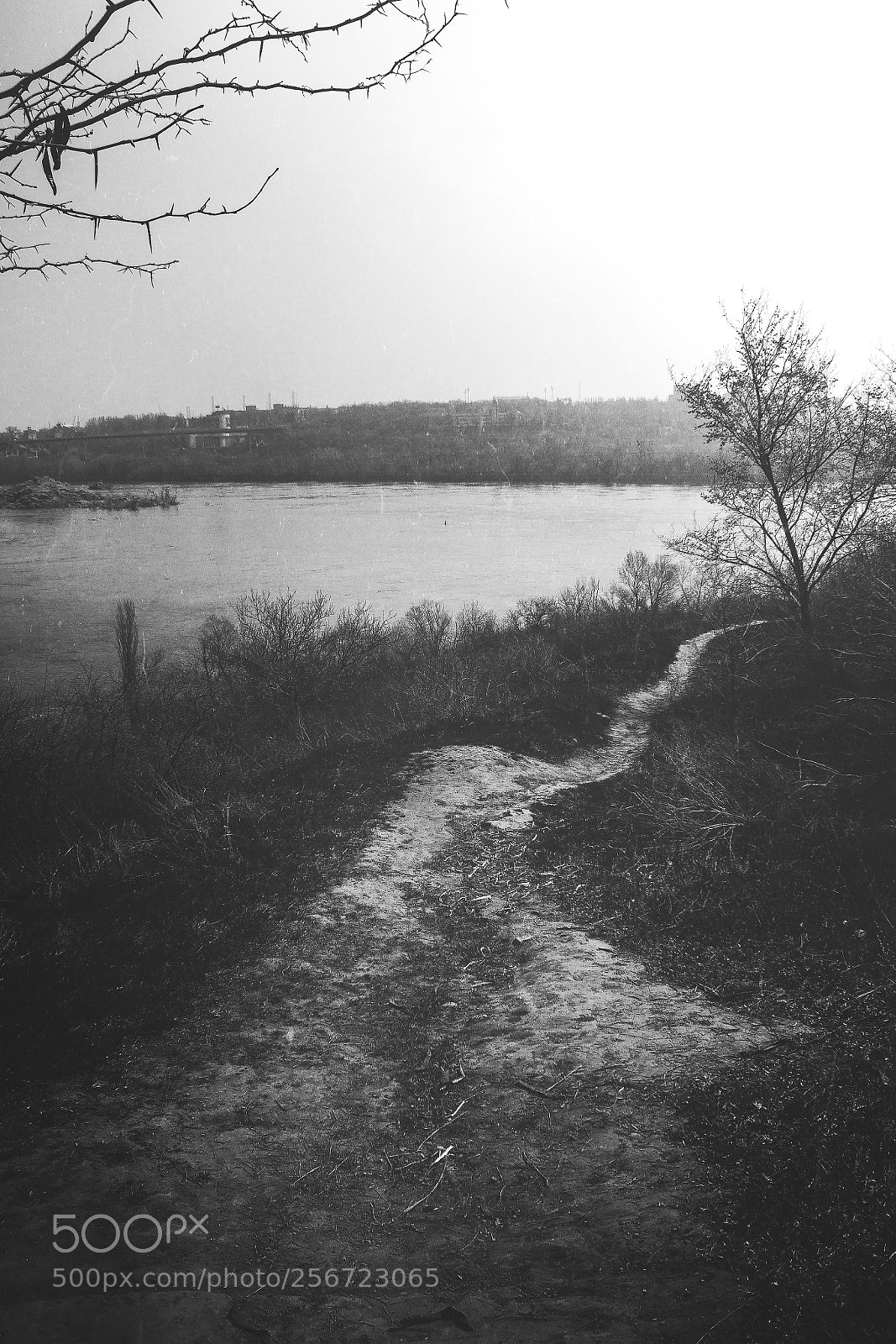 Canon EOS 60D sample photo. Path to the light photography