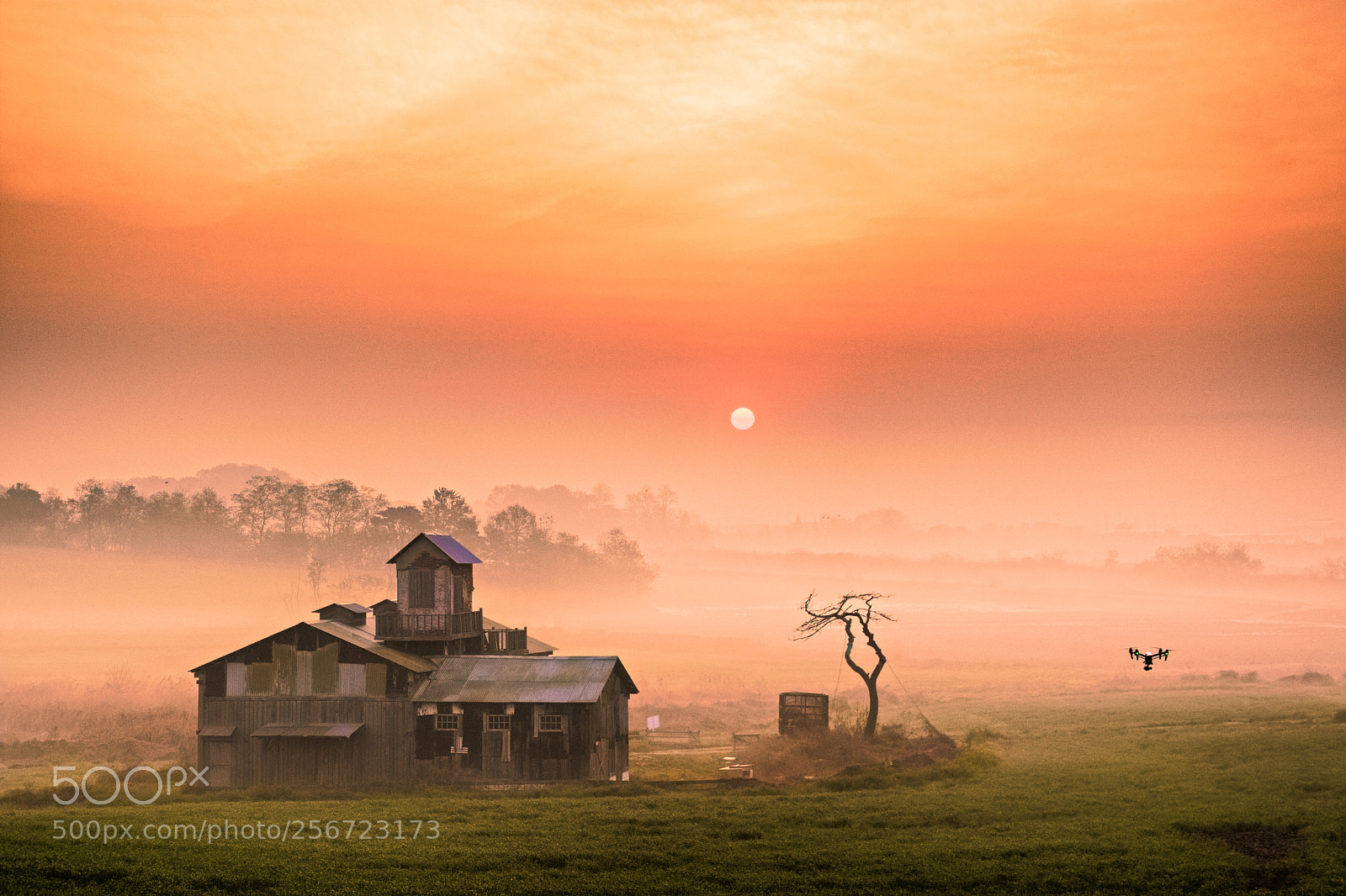 Nikon D5500 sample photo. A misty morning photography