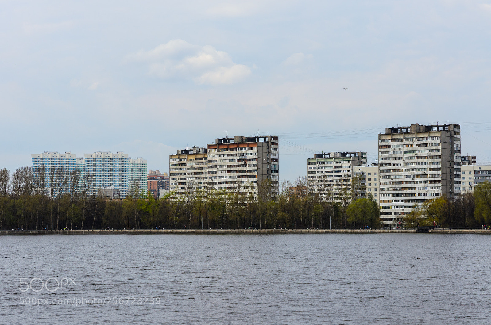 Nikon D5100 sample photo. 368 photography