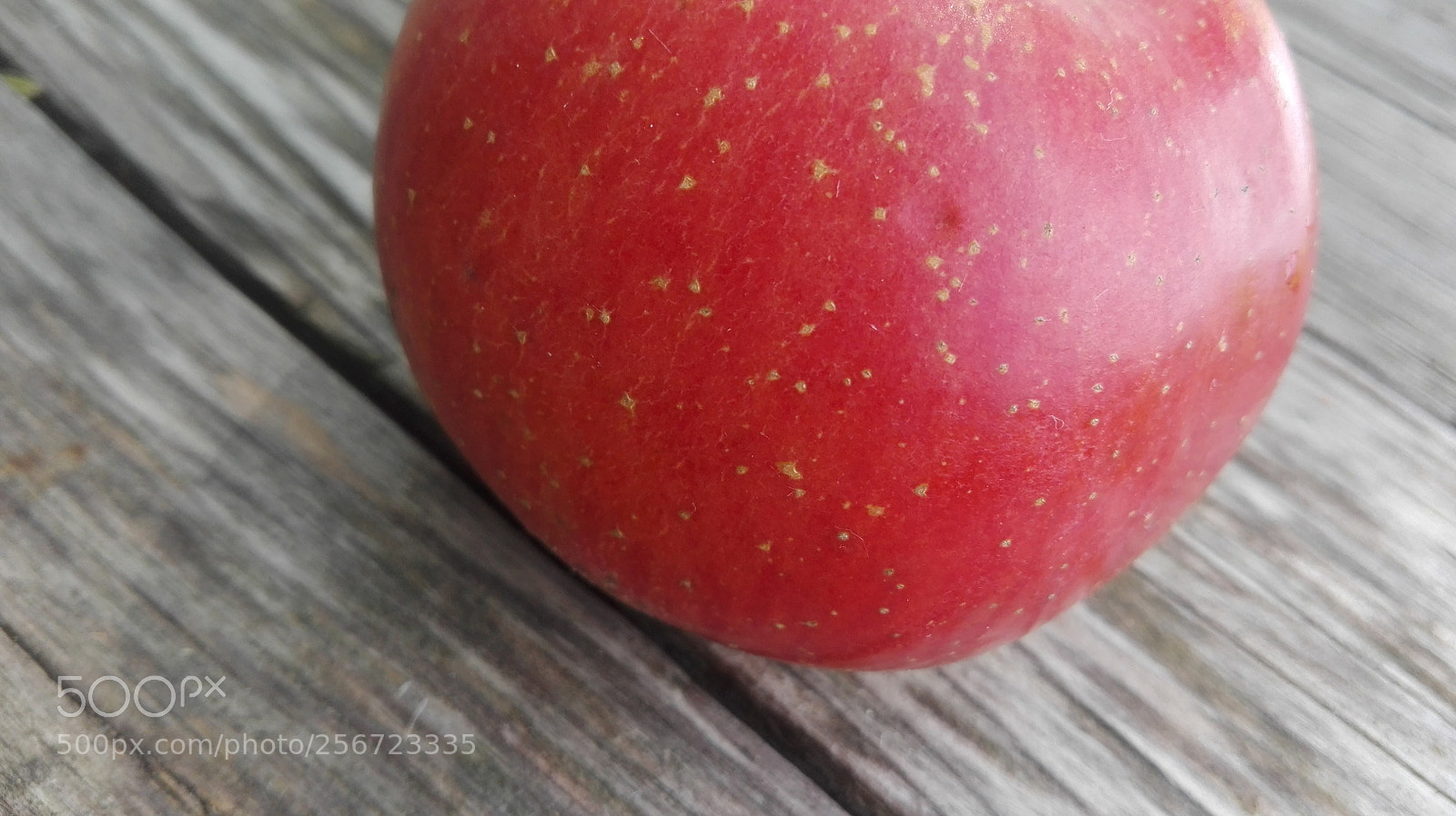 HUAWEI P8 Lite sample photo. Untitled photography