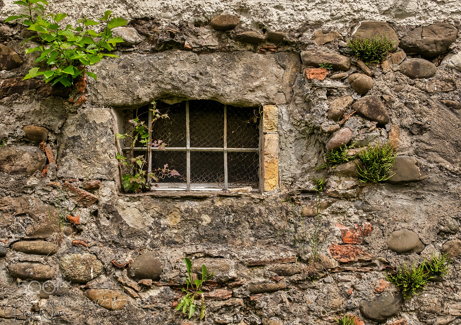 Panasonic Lumix DMC-LX100 sample photo. Fenster photography