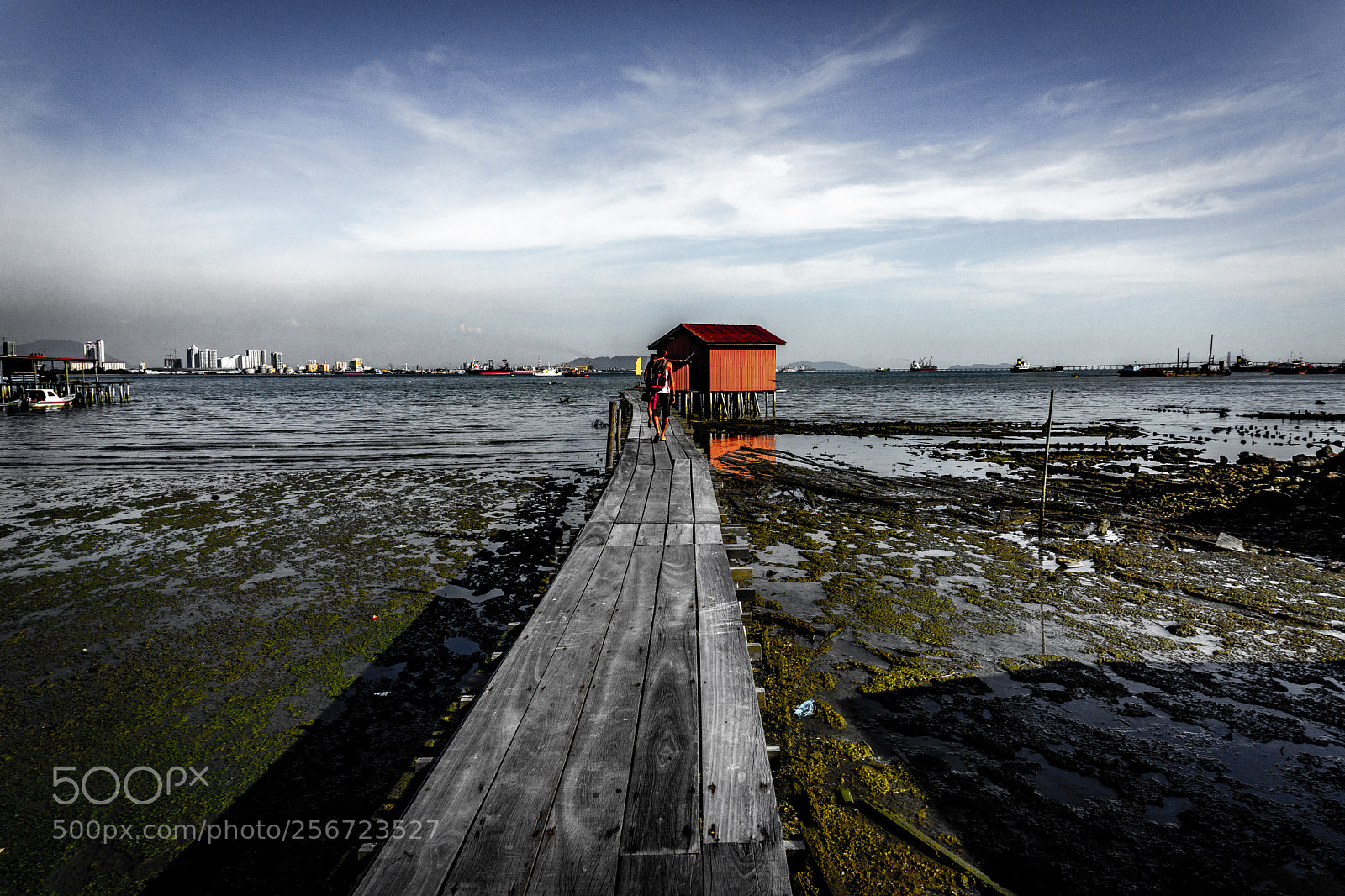 Sony a6000 sample photo. Barren stilts photography