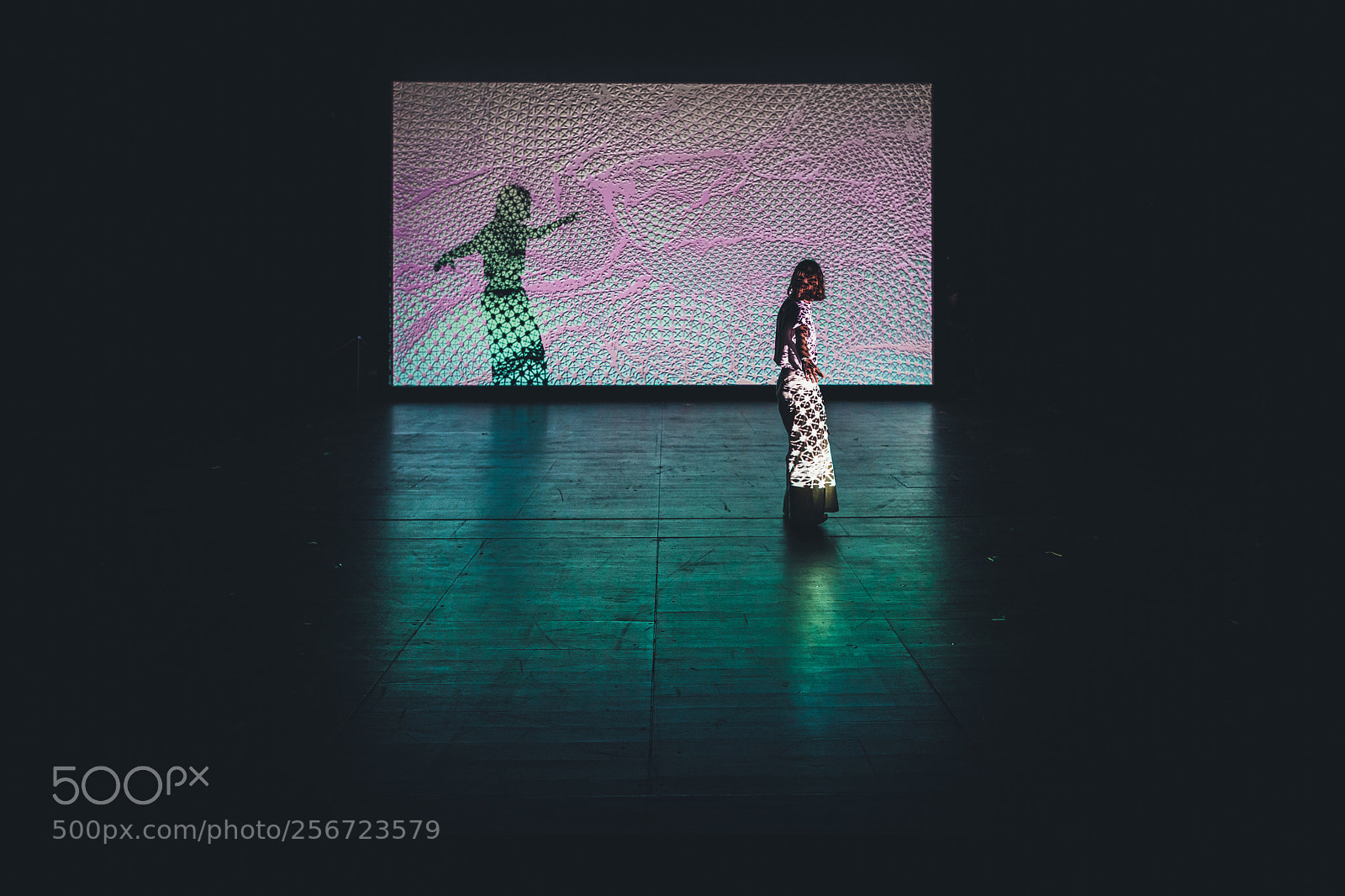 Canon EOS 5D Mark IV sample photo. Let the show begin photography