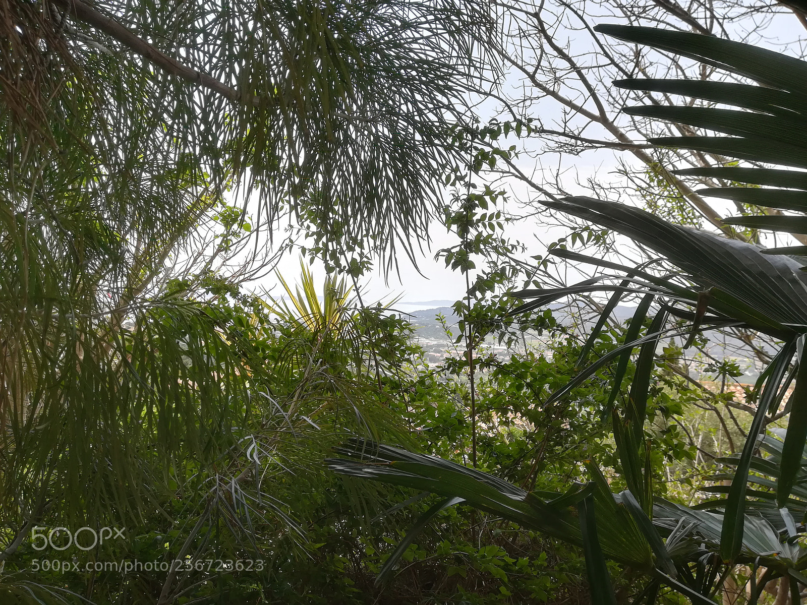 HUAWEI PRA-LX1 sample photo. Untitled photography