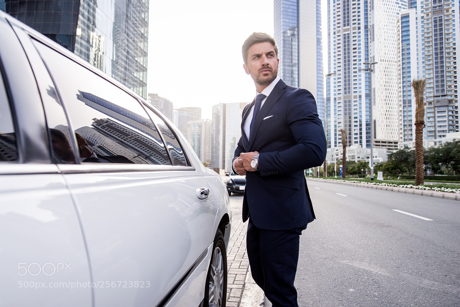 Nikon D610 sample photo. Businessman portrait photography