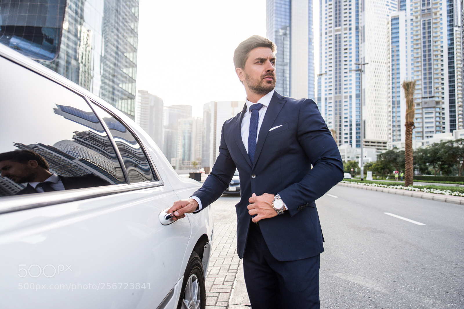 Nikon D610 sample photo. Businessman portrait photography