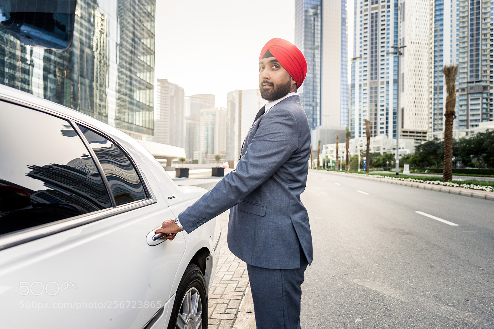 Nikon D610 sample photo. Punjab businessman photography