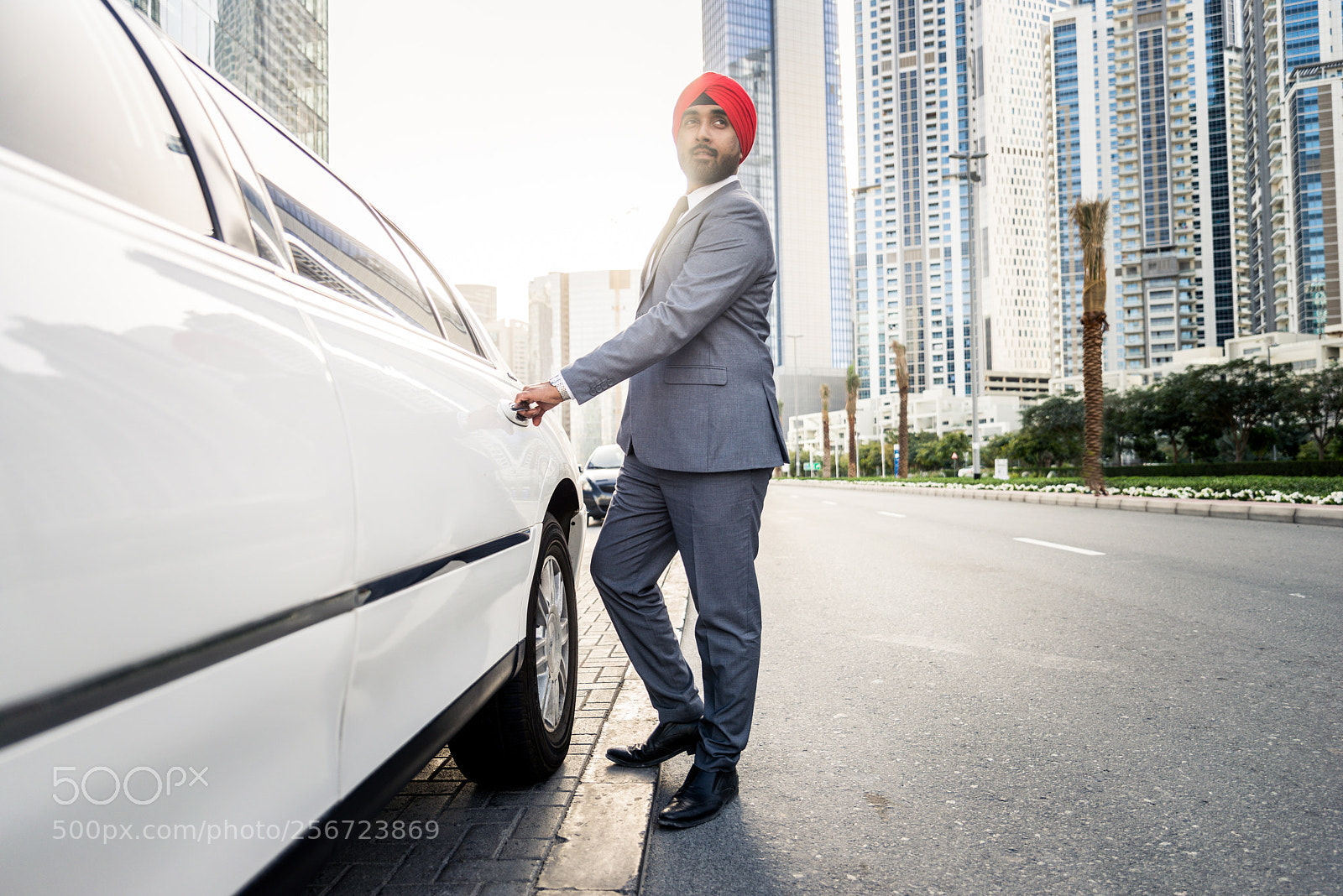 Nikon D610 sample photo. Punjab businessman photography