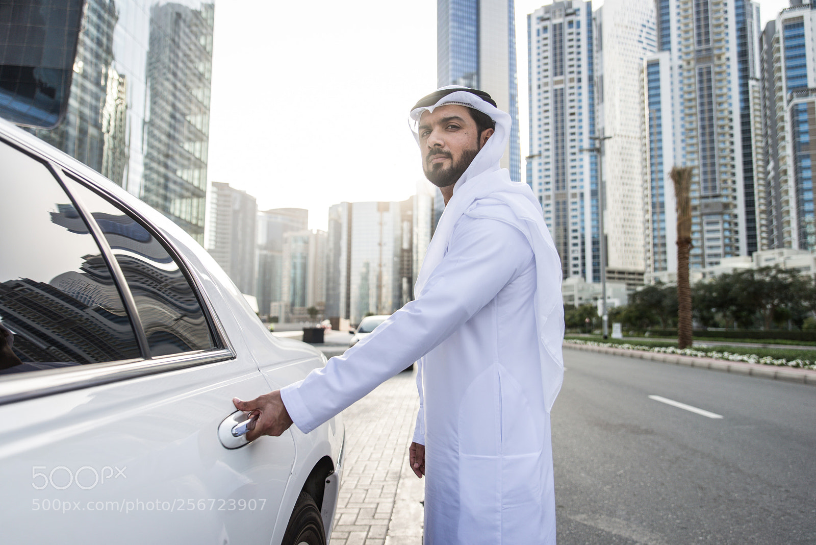 Nikon D610 sample photo. Emirati businessman portrait photography