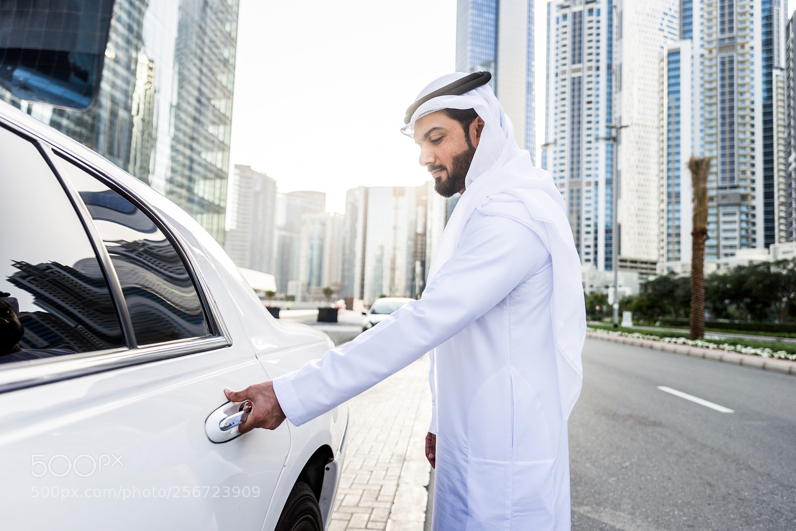 Nikon D610 sample photo. Emirati businessman portrait photography