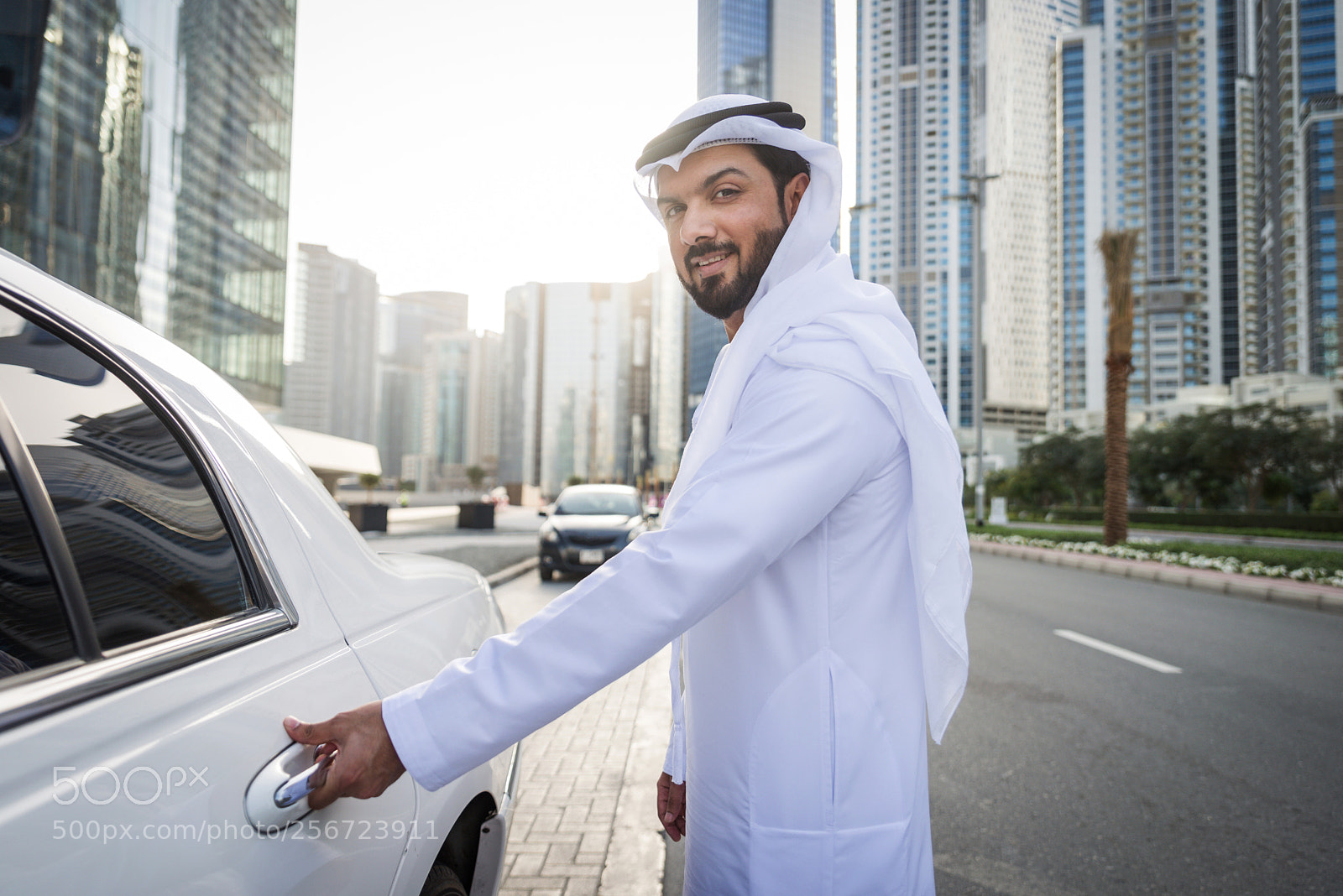Nikon D610 sample photo. Emirati businessman portrait photography