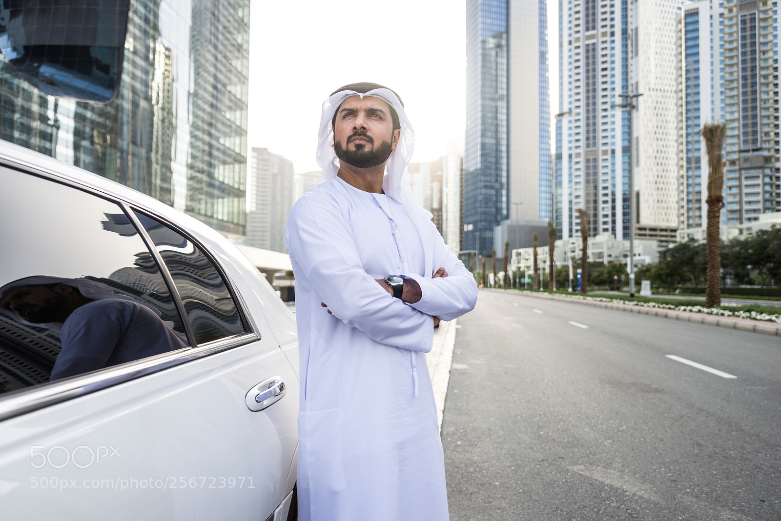 Nikon D610 sample photo. Emirati businessman portrait photography