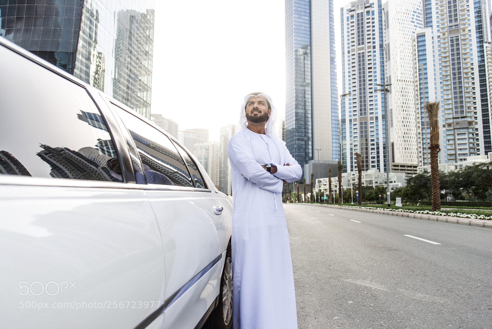 Nikon D610 sample photo. Emirati businessman portrait photography