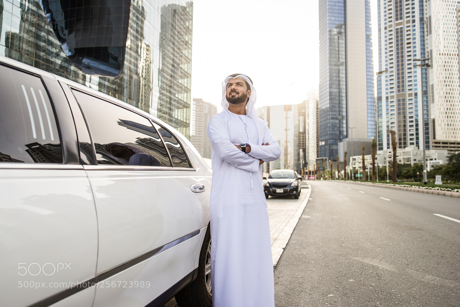 Nikon D610 sample photo. Emirati businessman portrait photography