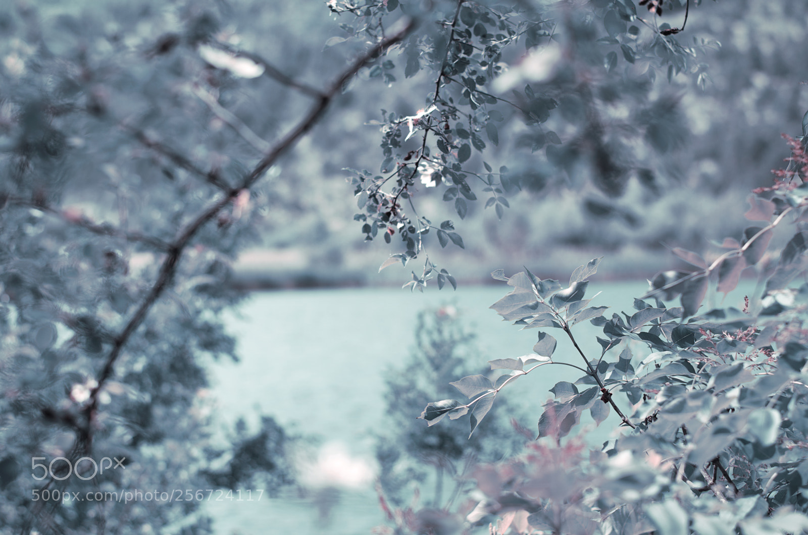 Nikon D5100 sample photo. The colors of the photography