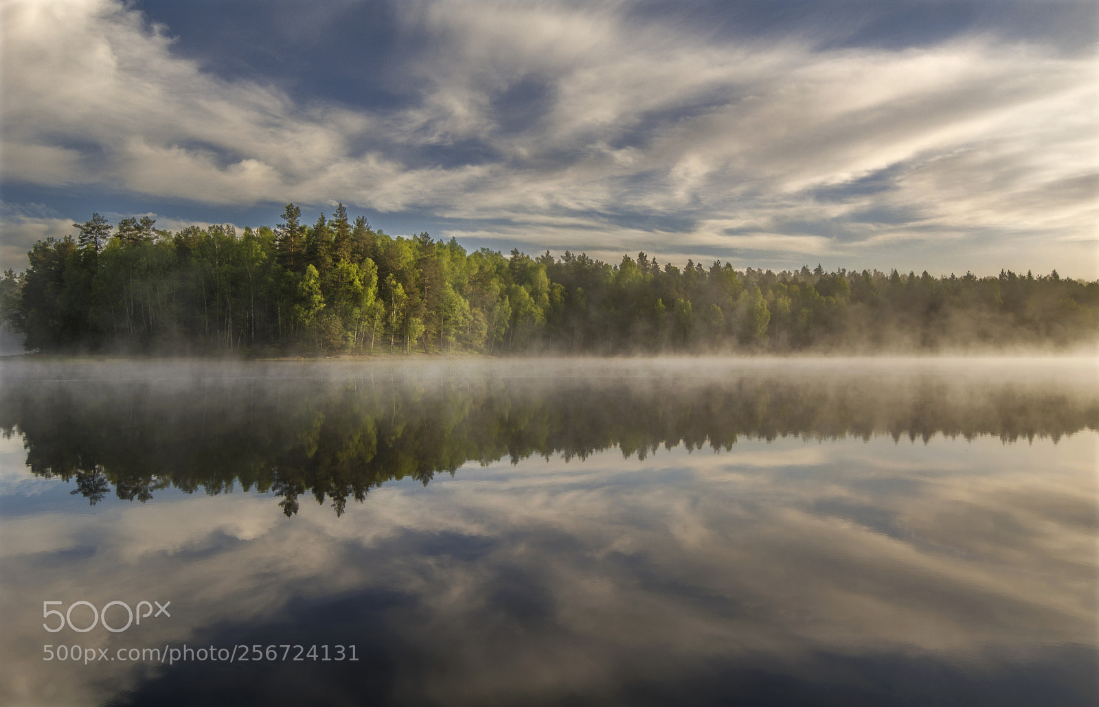 Nikon D5200 sample photo. Forest reflection photography