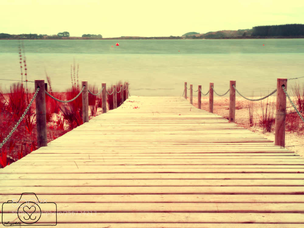 Olympus OM-D E-M10 II sample photo. Jetty photography