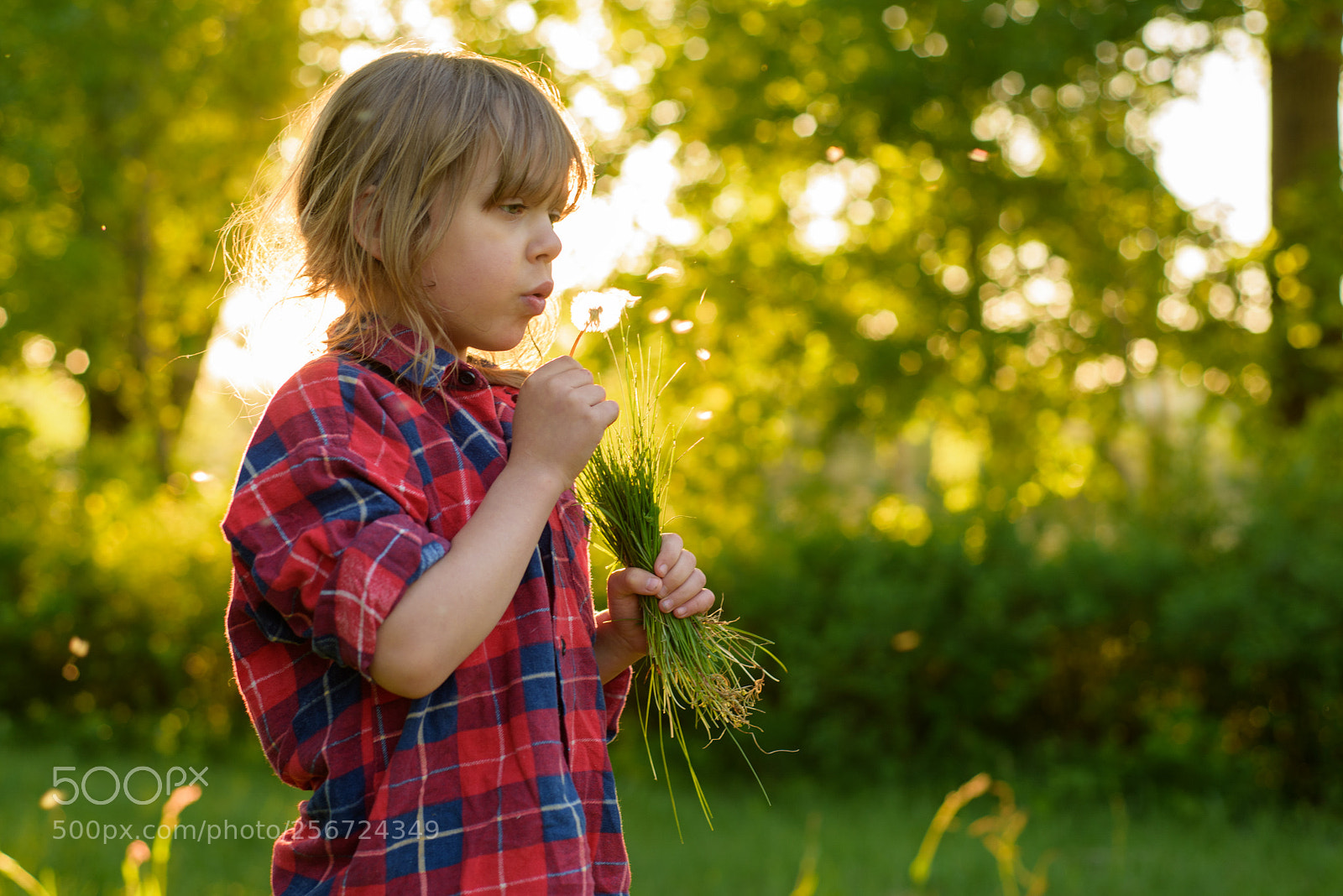 Nikon D810 sample photo. Zosia photography