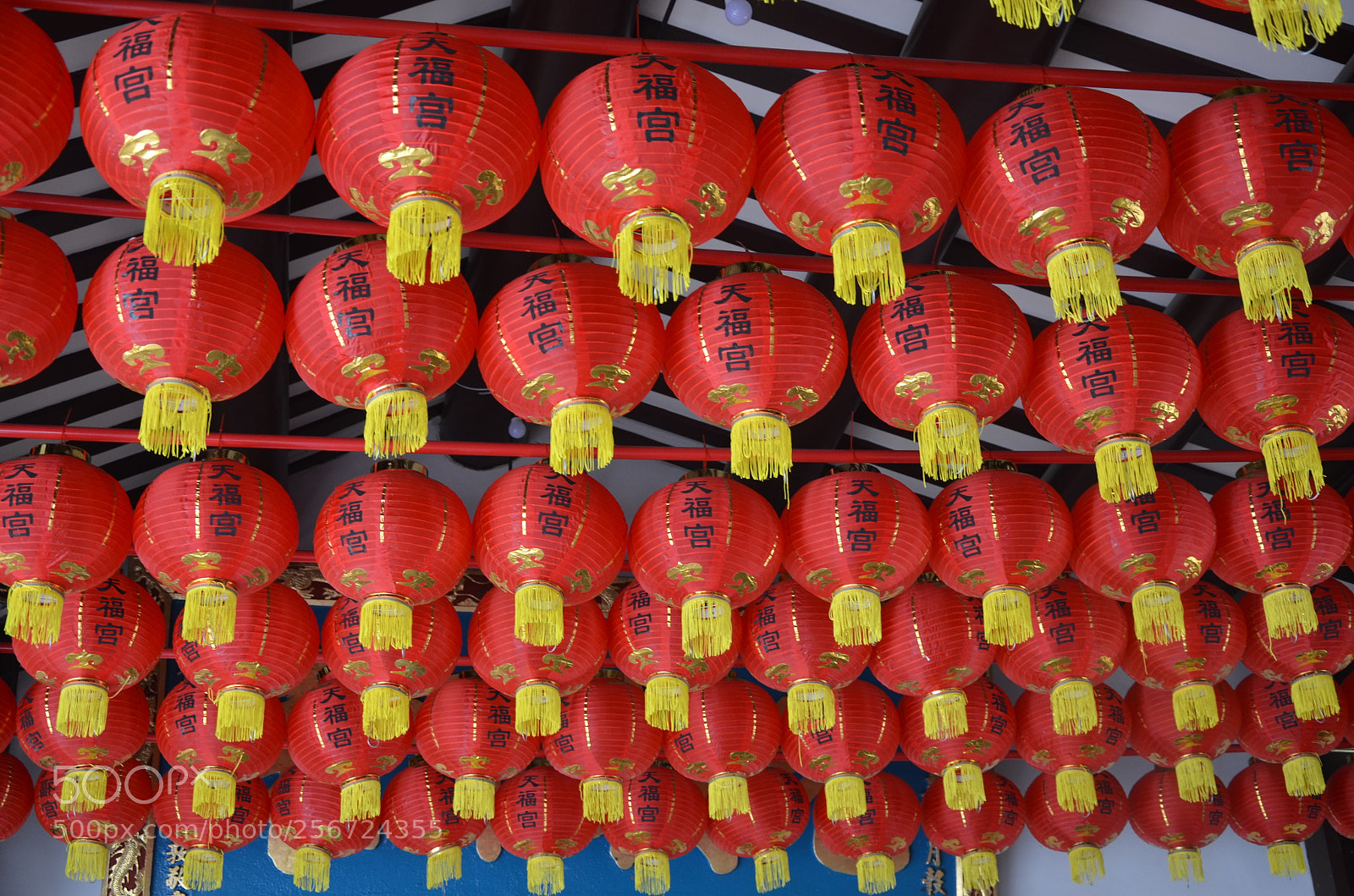 Nikon D5100 sample photo. Flashlights photography
