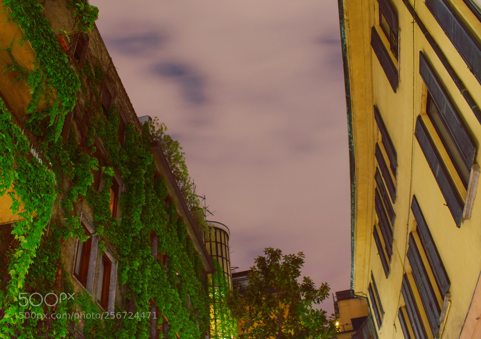 Canon EOS 700D (EOS Rebel T5i / EOS Kiss X7i) sample photo. Midnight in milano photography