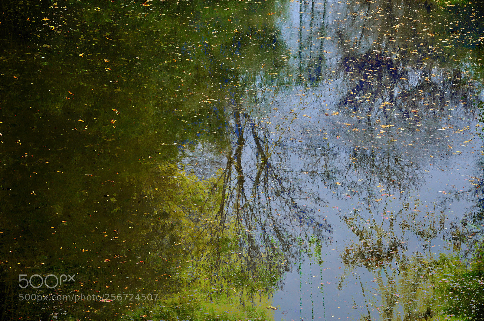 Nikon D300 sample photo. Giverny pond impressionism photography